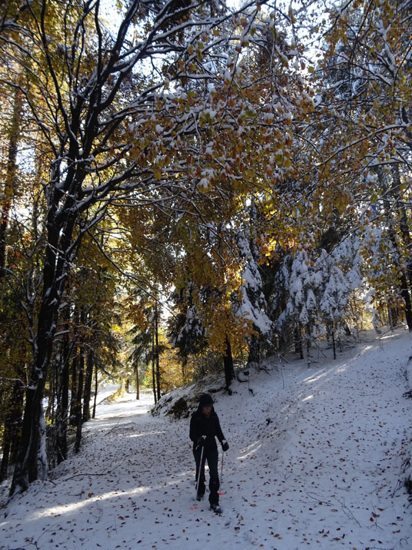 prime escursioni sulla neve....autunno  2019